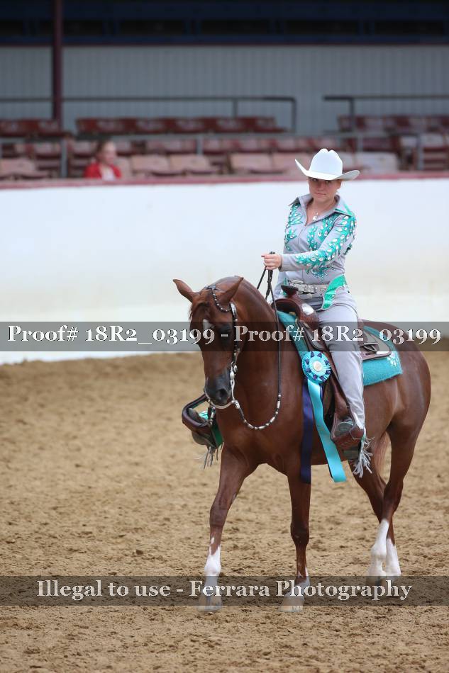 Proof 18R2_03199