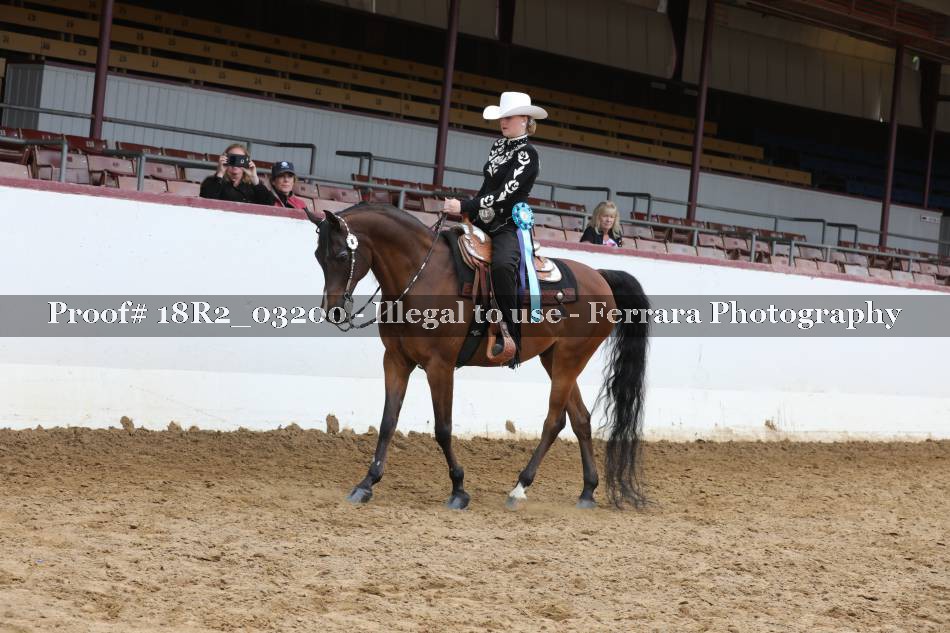 Proof 18R2_03200