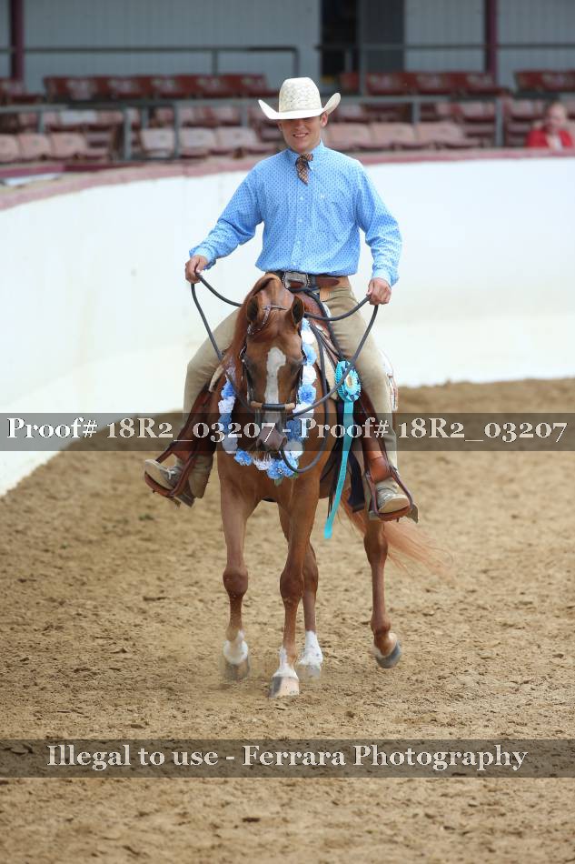 Proof 18R2_03207
