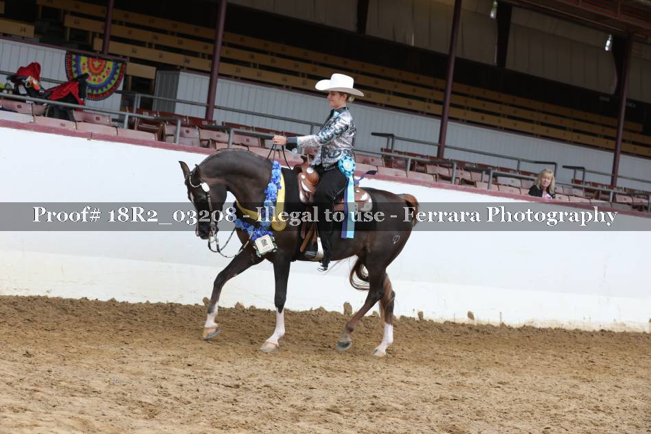 Proof 18R2_03208