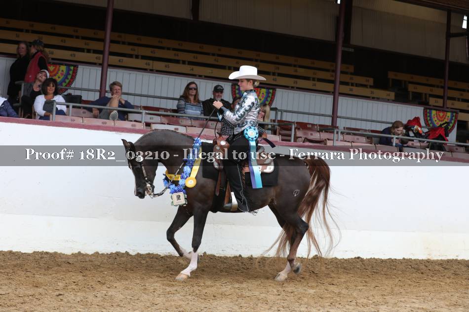 Proof 18R2_03210