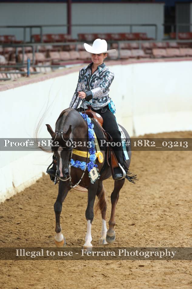 Proof 18R2_03213
