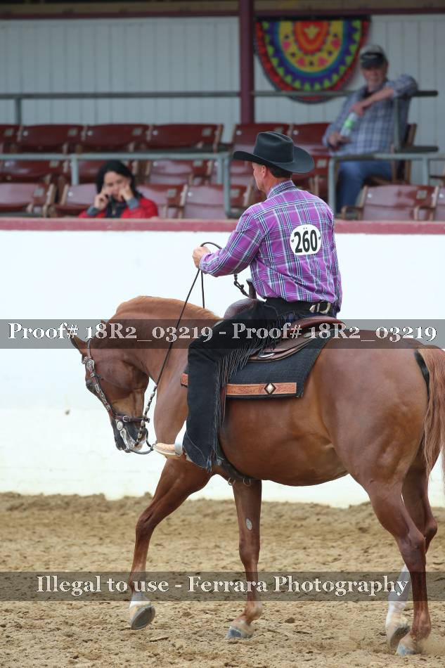 Proof 18R2_03219