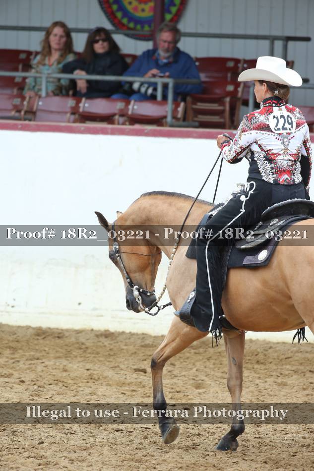 Proof 18R2_03221