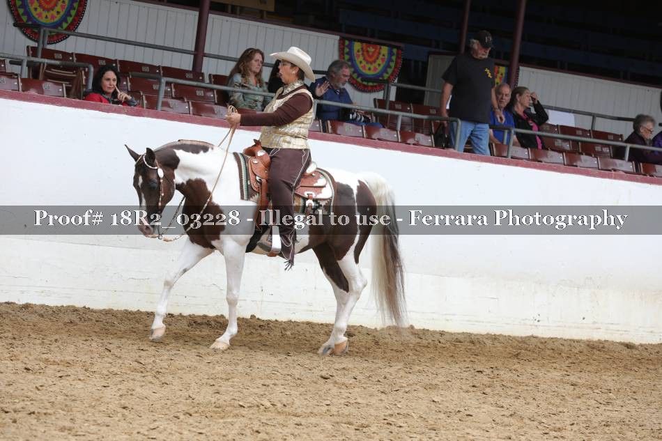 Proof 18R2_03228
