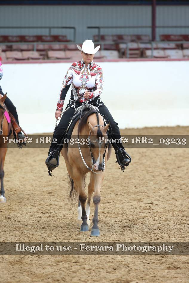 Proof 18R2_03233