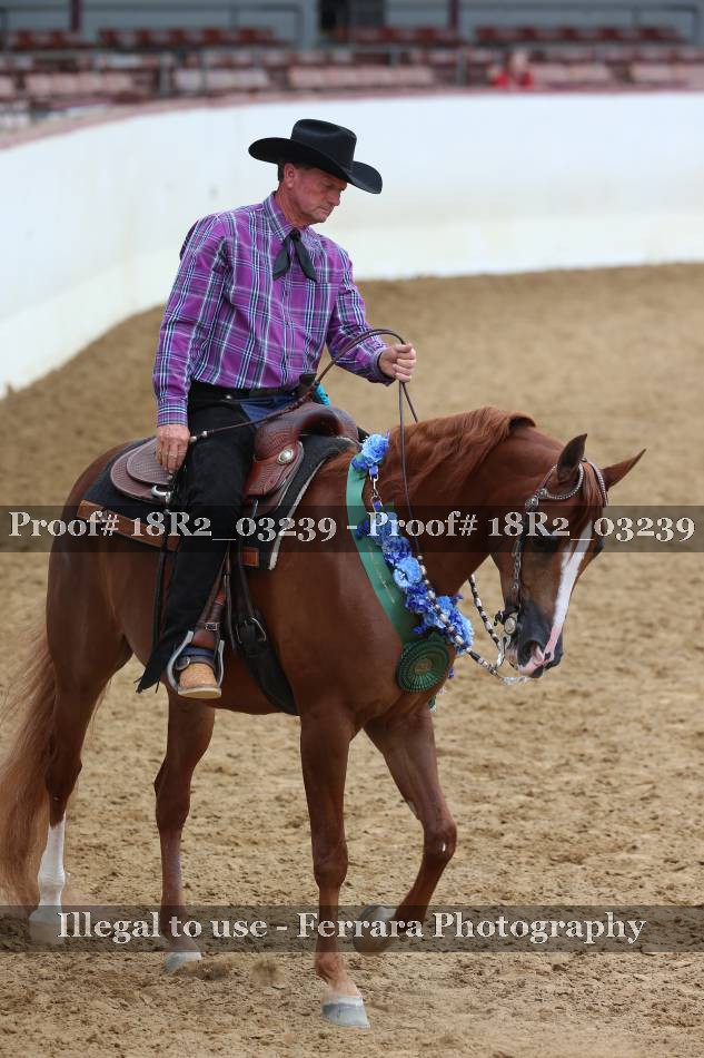 Proof 18R2_03239