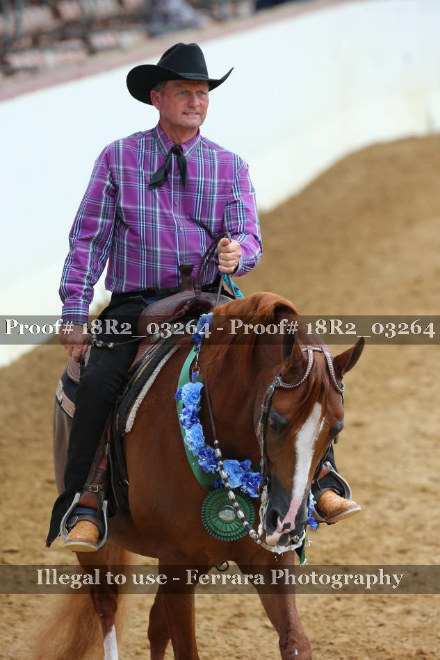 Proof 18R2_03264