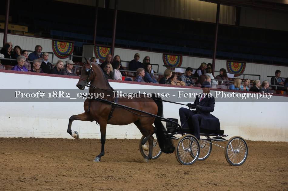 Proof 18R2_03399