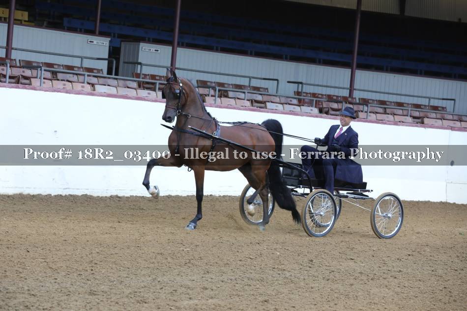 Proof 18R2_03400