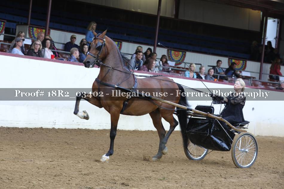 Proof 18R2_03402