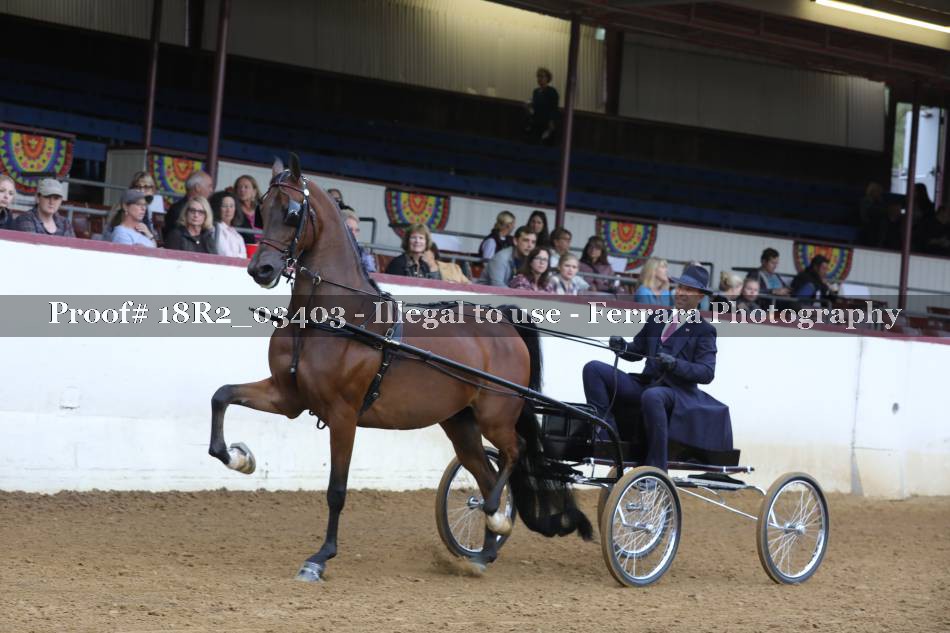 Proof 18R2_03403
