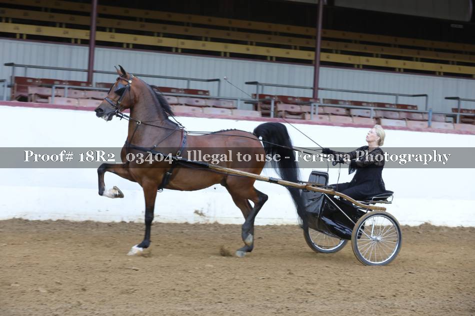 Proof 18R2_03404