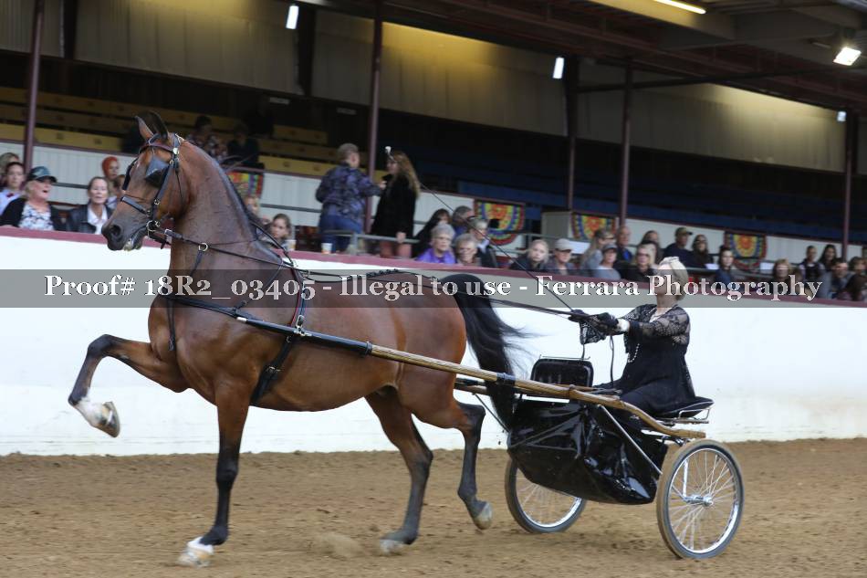 Proof 18R2_03405