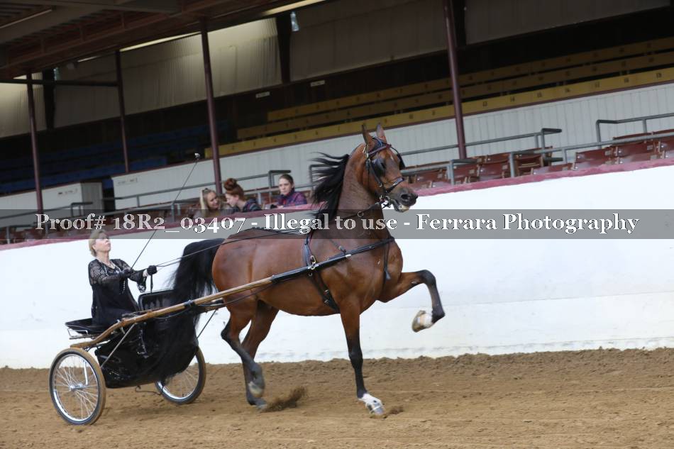 Proof 18R2_03407
