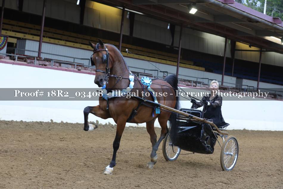 Proof 18R2_03408