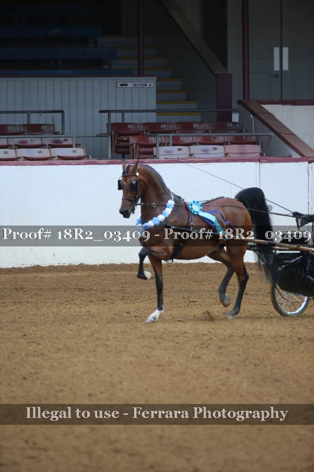 Proof 18R2_03409