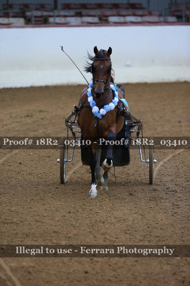 Proof 18R2_03410