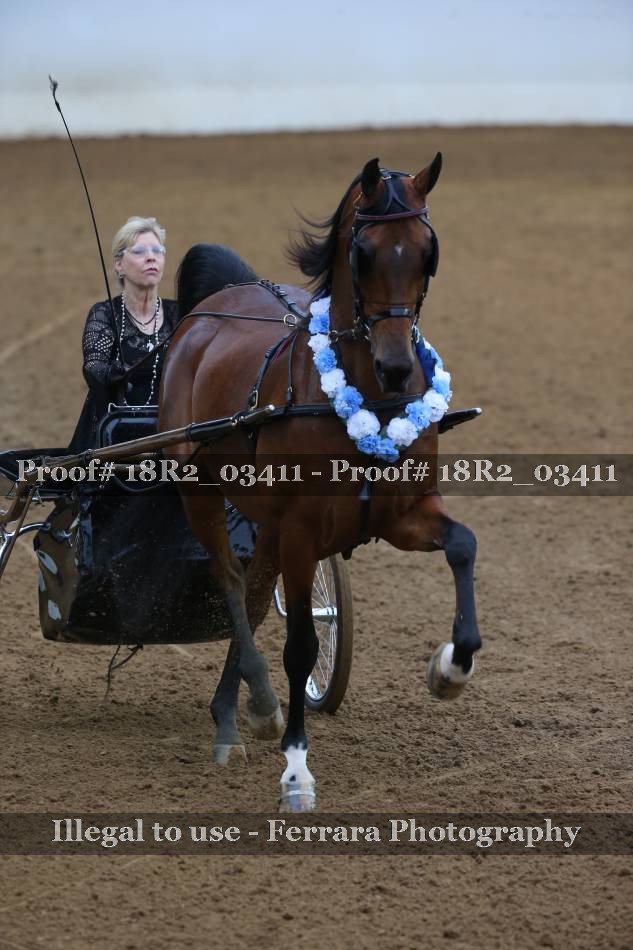 Proof 18R2_03411