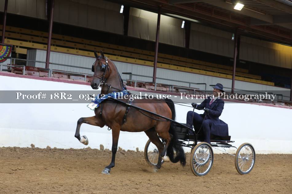 Proof 18R2_03412