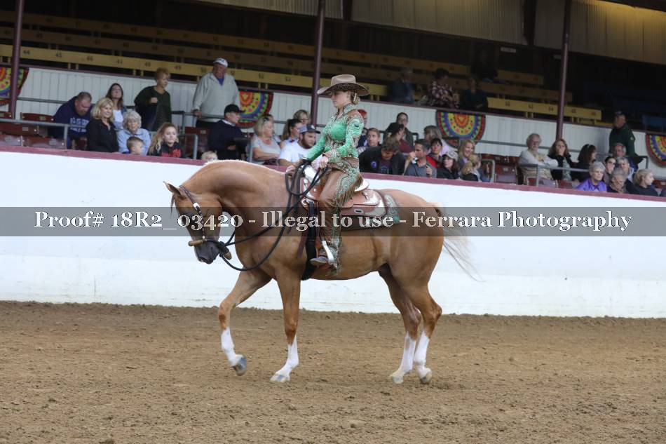 Proof 18R2_03420