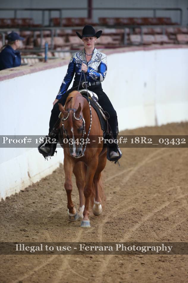 Proof 18R2_03432