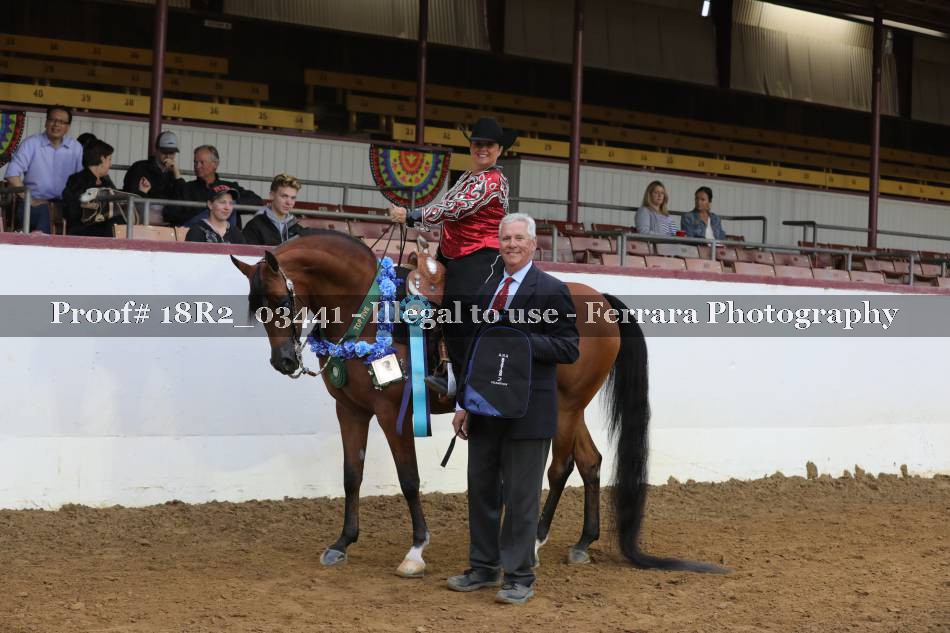 Proof 18R2_03441