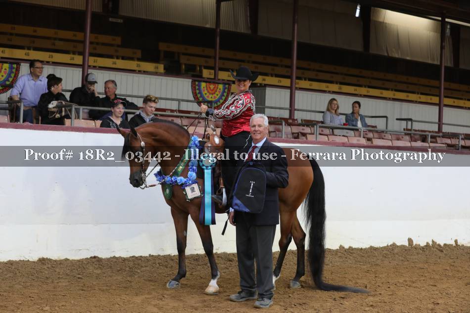 Proof 18R2_03442