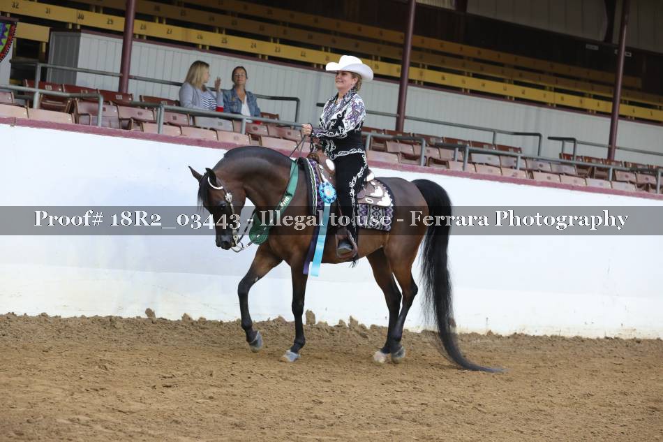 Proof 18R2_03443