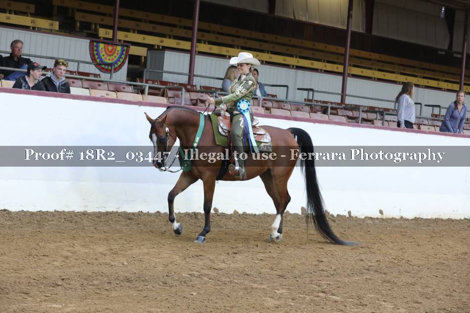 Proof 18R2_03447
