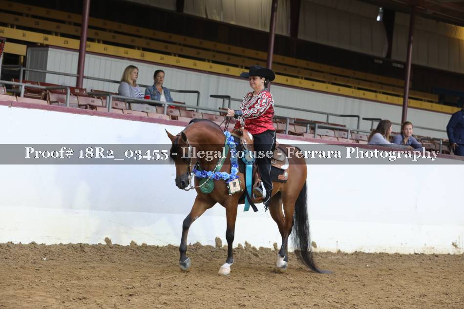 Proof 18R2_03455