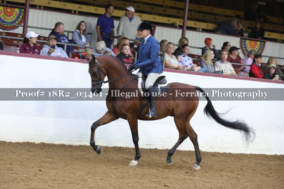 Proof 18R2_03461