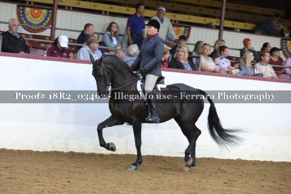 Proof 18R2_03462