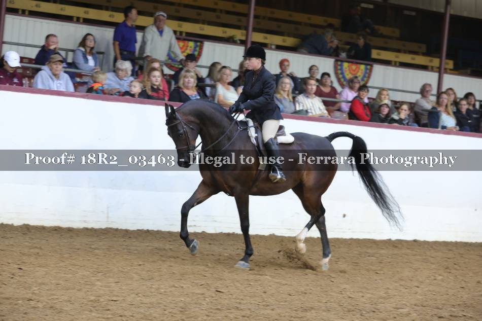 Proof 18R2_03463