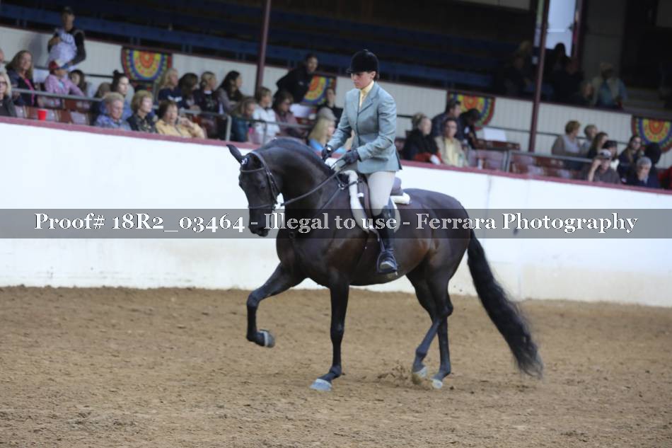 Proof 18R2_03464