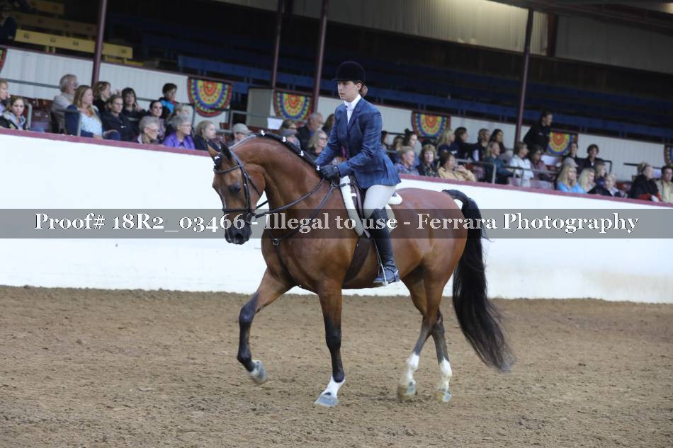 Proof 18R2_03466