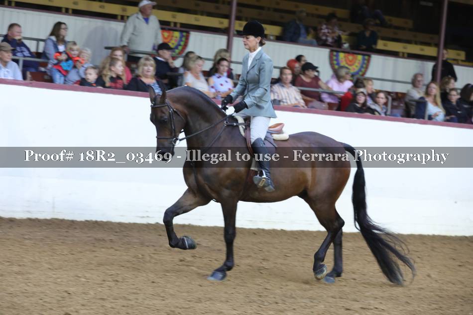 Proof 18R2_03469