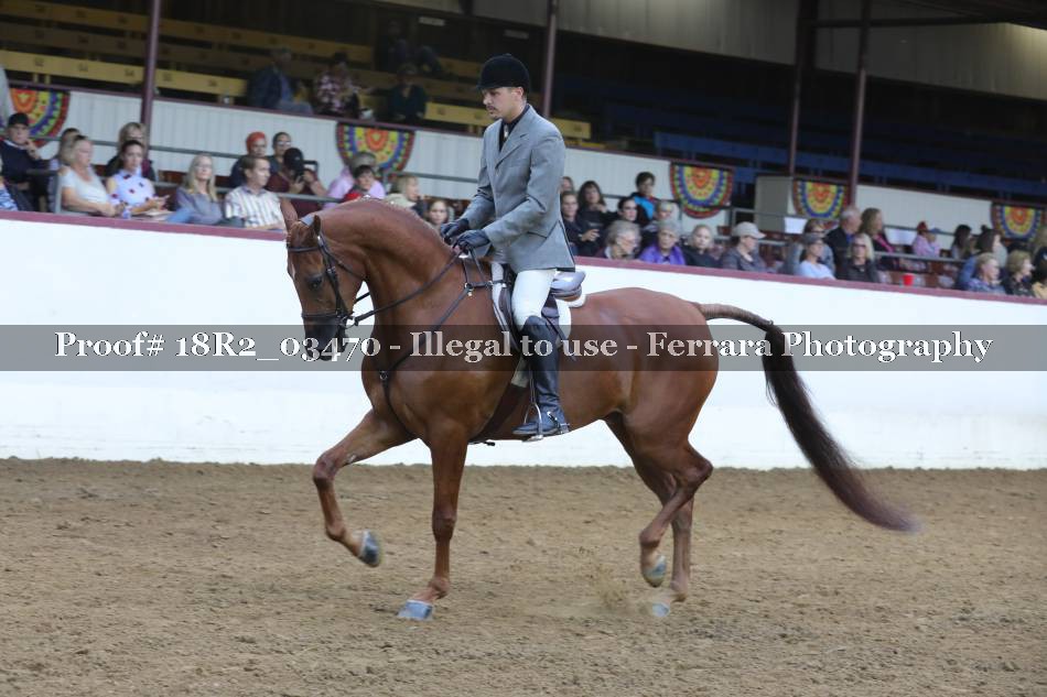 Proof 18R2_03470