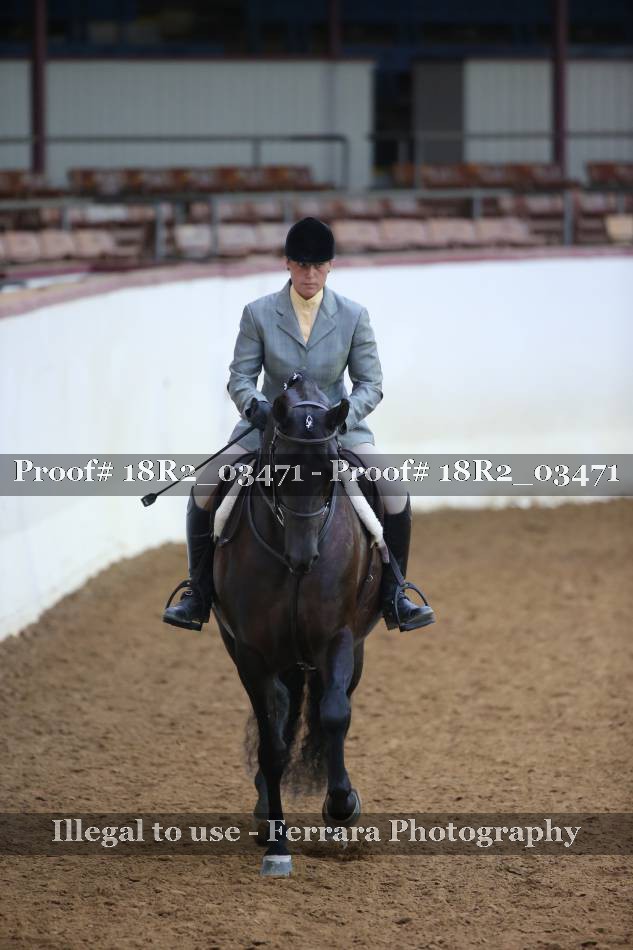 Proof 18R2_03471
