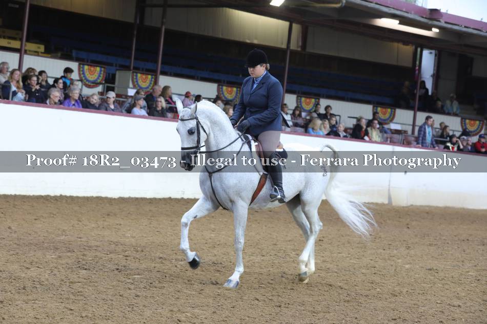 Proof 18R2_03473