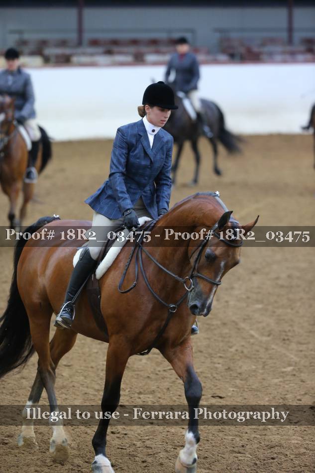 Proof 18R2_03475