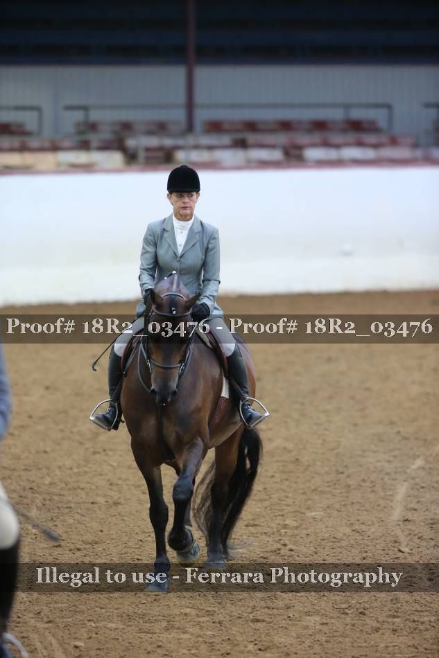 Proof 18R2_03476