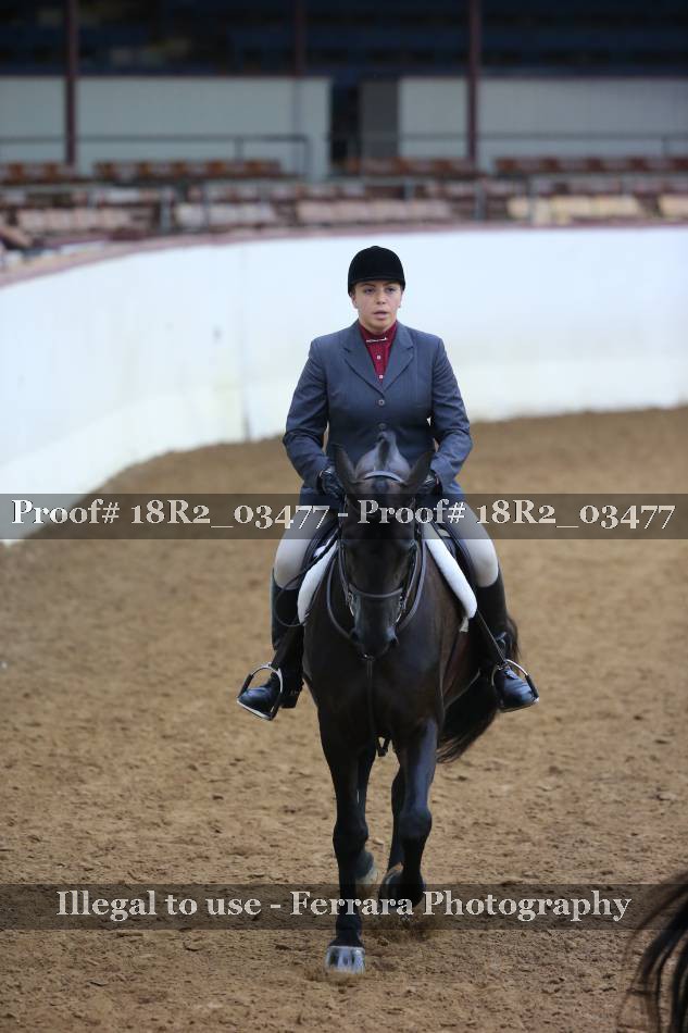Proof 18R2_03477