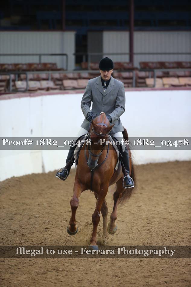 Proof 18R2_03478