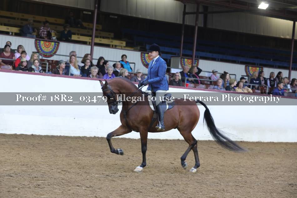 Proof 18R2_03479