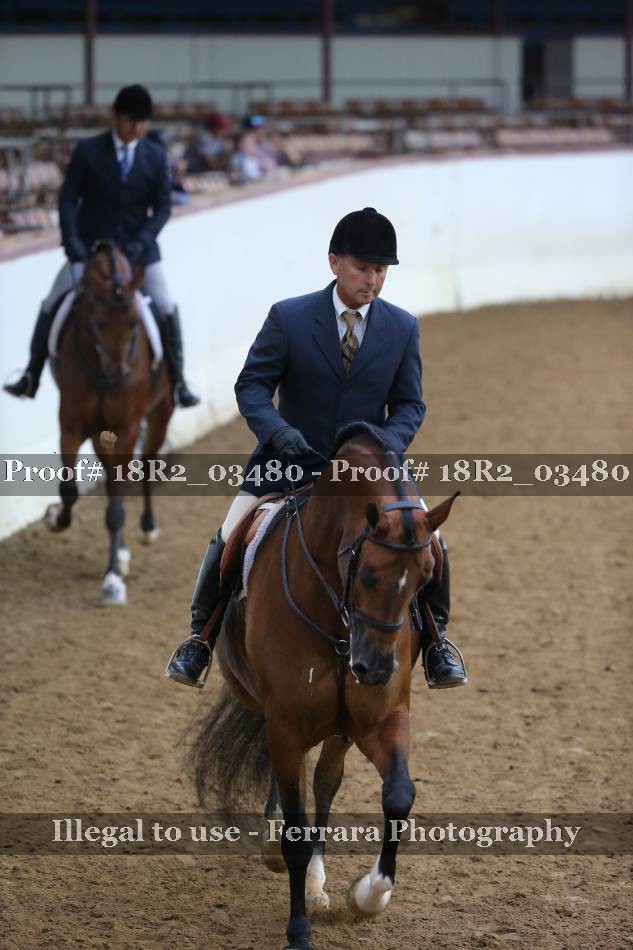 Proof 18R2_03480