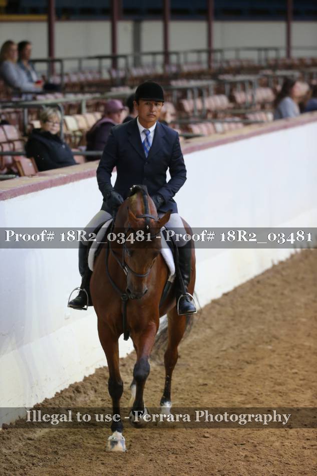 Proof 18R2_03481