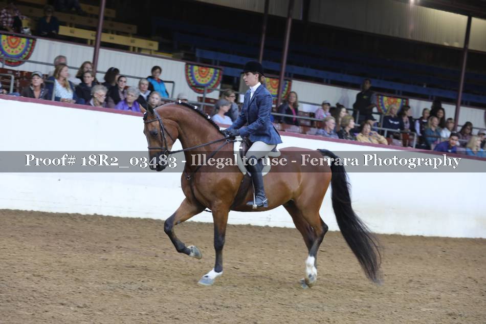 Proof 18R2_03483