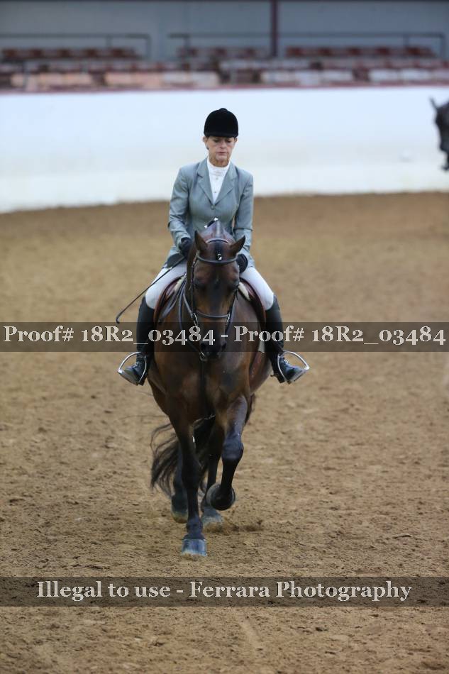 Proof 18R2_03484