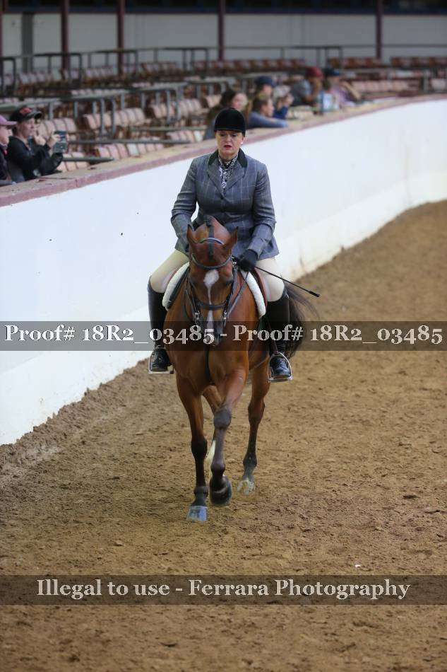 Proof 18R2_03485